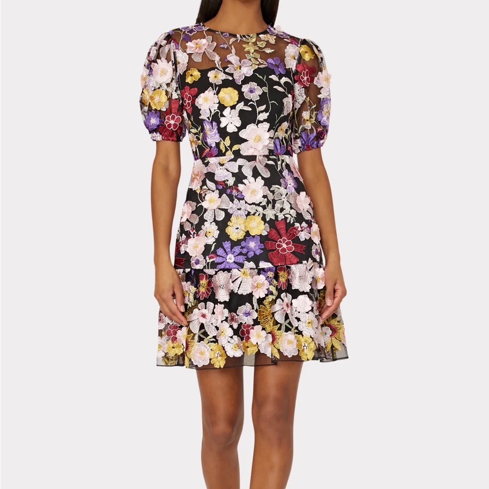 MILLY- Yasmin Multi Floral Embroidery Dress Size 4- worn once